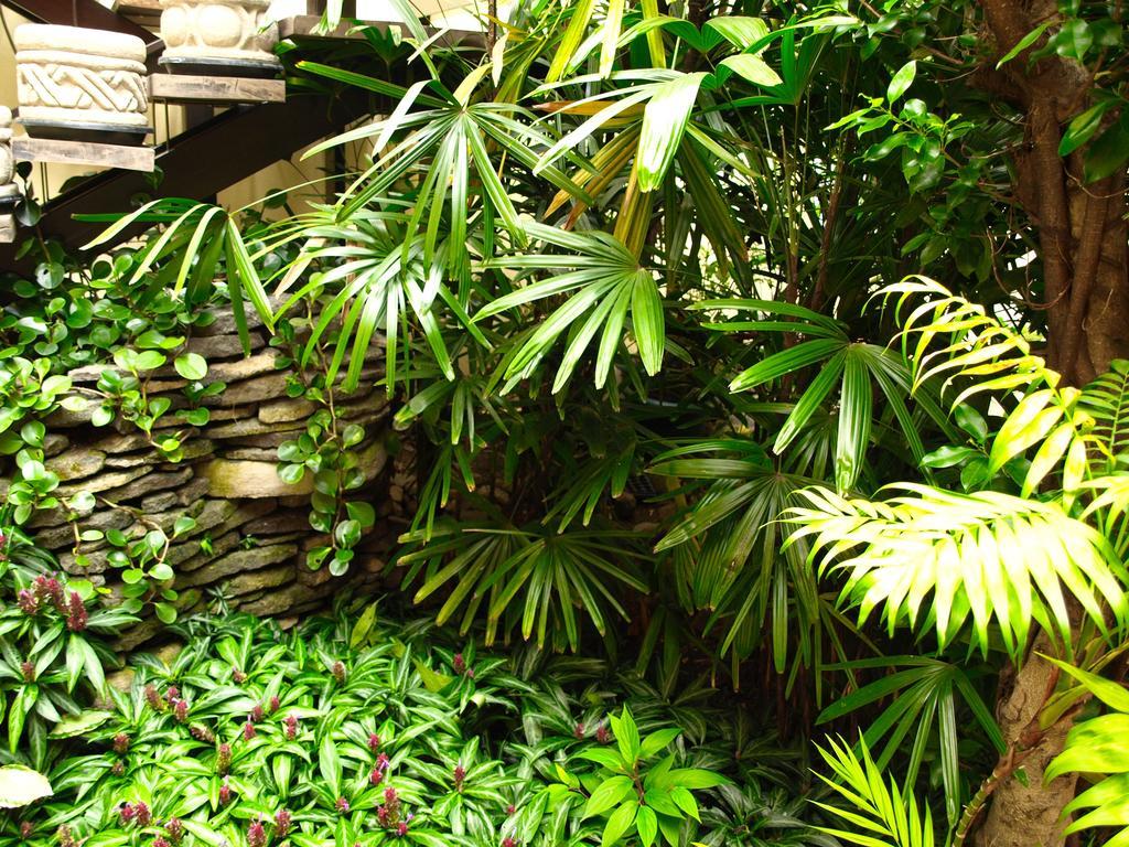 Hotel The Palm House Inn 聖荷西 外观 照片