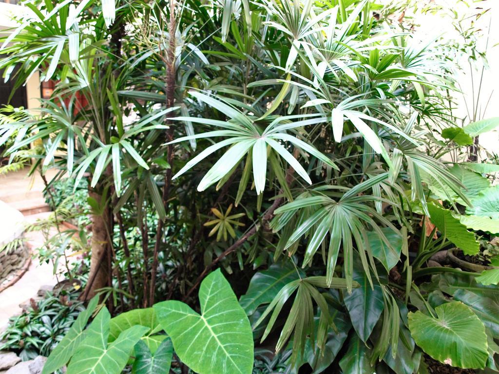Hotel The Palm House Inn 聖荷西 外观 照片